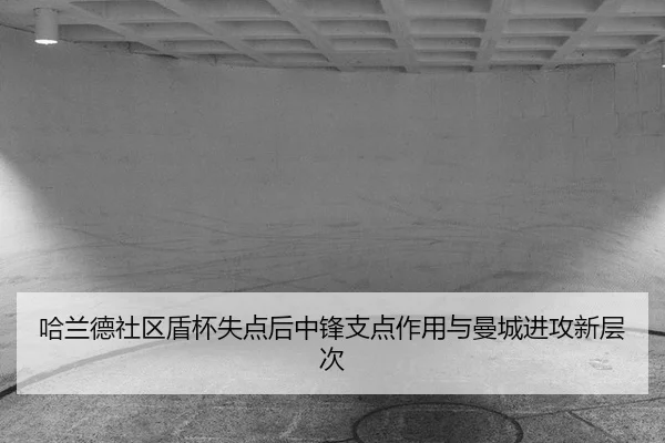 ha-lan-de-she-qu-dun-bei-shi-dian-hou-zhong-feng-zhi-dian-zuo-yong-yu-man-cheng-jin-gong-xin-ceng-ci-2-414.jpg