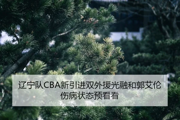 liao-ning-dui-xin-yin-jin-shuang-wai-yuan-guang-rong-he-guo-ai-lun-shang-bing-zhuang-tai-yu-kan-kan-3-908.jpg